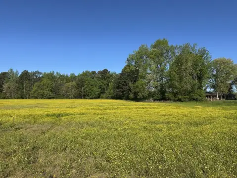 Unrestricted Land in Limestone County
