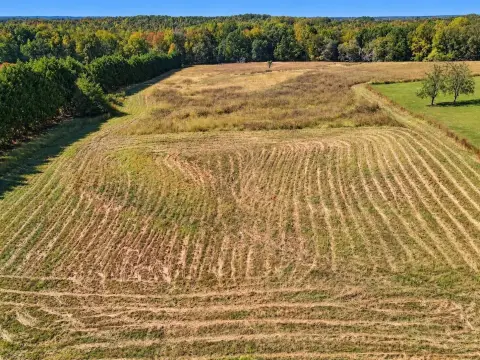 Land Tracts in Pacolet, SC