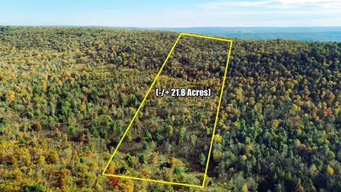 Wooded Recreation Land