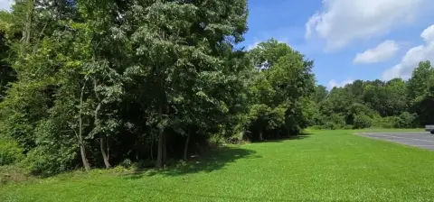 Greenwood Commercial Acreage For Sale