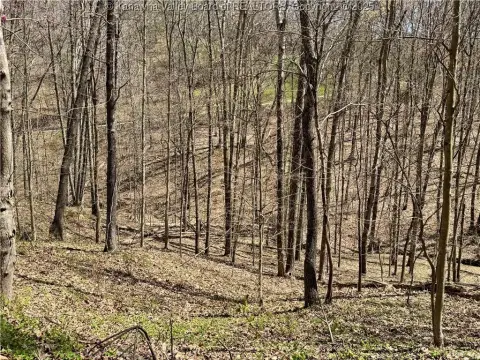 Vacant Land in Scott Depot