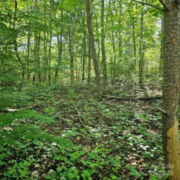 Asheville Land Subdivision Opportunity