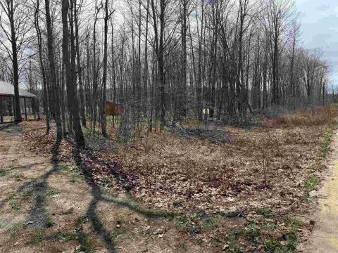Wooded Land Near Harbor Springs