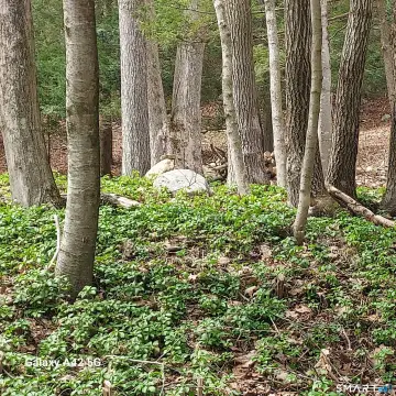 Coventry, CT Acreage Land