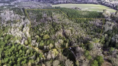 Society Hill Hunting and Recreational Land