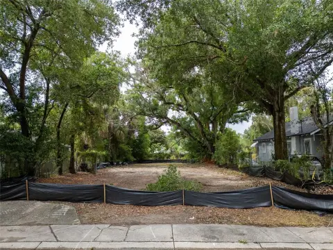Cleared Lot in Growing Area