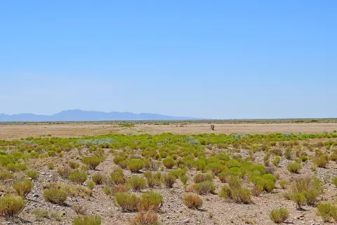 Land with Scenic Views