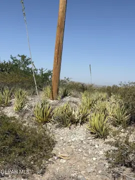 Land with Mountain Views