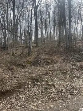 Residential Lot Near Lake Barkley