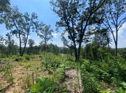 Ready-to-Build Lot with Mountain Views