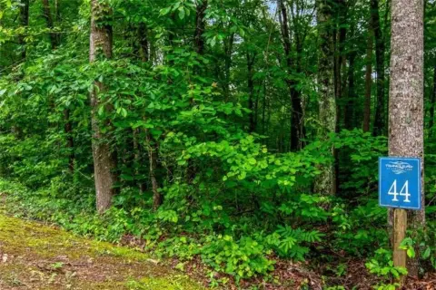 Tranquil Ellijay Lot Ready to Build