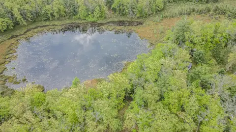 Land in Historic Idlewild, MI