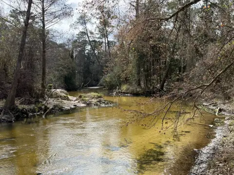 Waterfront Conservation Land Parcel