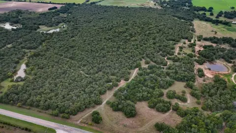 Heavily Wooded Land in Lipan