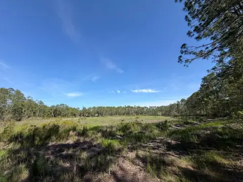 Paved-Road Waterfront Land Parcels