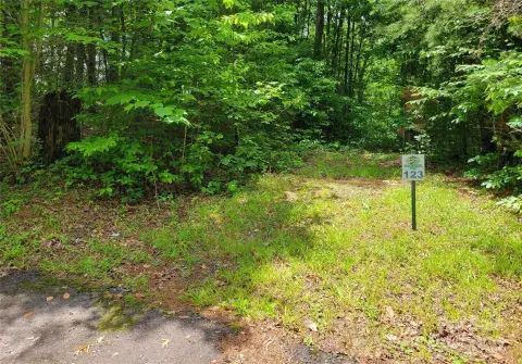 Marshall, NC Buildable Acreage