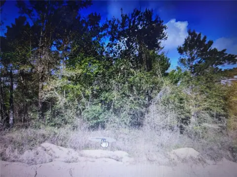 Land Near Trout Lake Shores