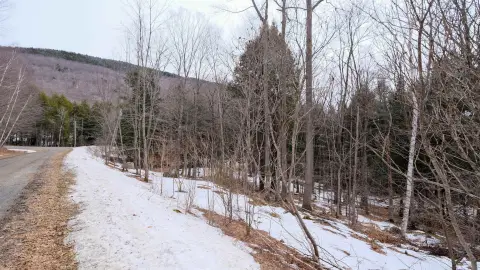 Plymouth, VT Land Opportunity