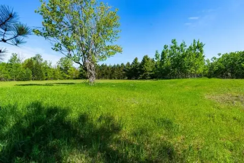 Hunting Land with Rolling Woodlands