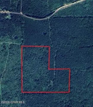 Wooded Hunting Land