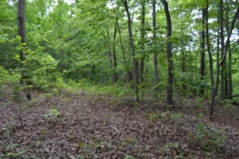 Wooded Land Near Dale Hollow