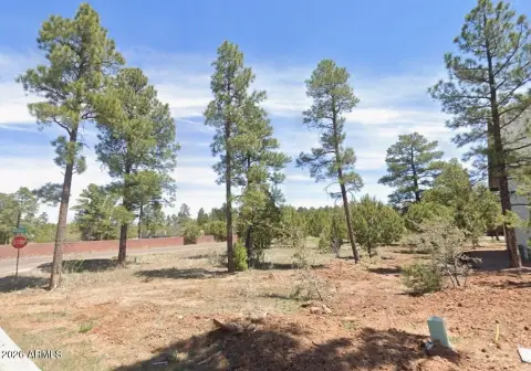 Level Corner Homesite in Pine Bluff