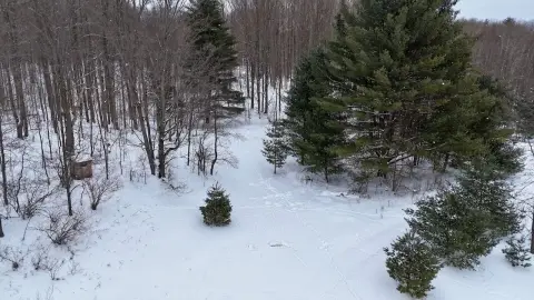 60.46 Acres Hunting Land