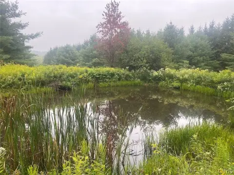 Hunting Land with Spring-Fed Pond
