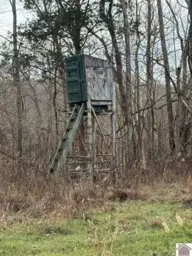 Princeton, KY Hunting & Buildable Land