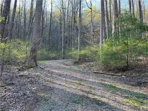 Cascade Mountain Resort Land
