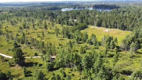 Undeveloped Land Parcel in Gwinn, MI