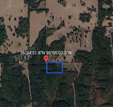Heavily Wooded 10-Acre Land