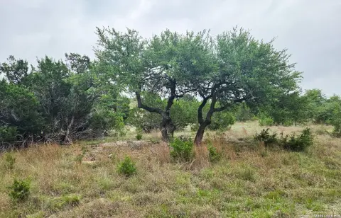 Majestic Hills Hill Country Lot