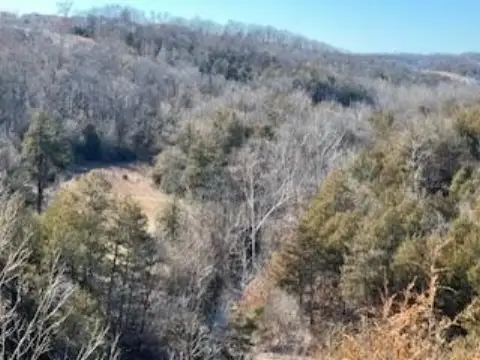 Branson Commercial Land For Sale