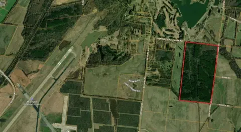 Timberland and Solar-Adjacent Tract