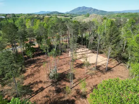 Mill Spring Wooded Homesite