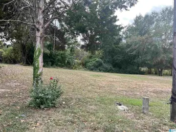 Commercial Land on Highway 78