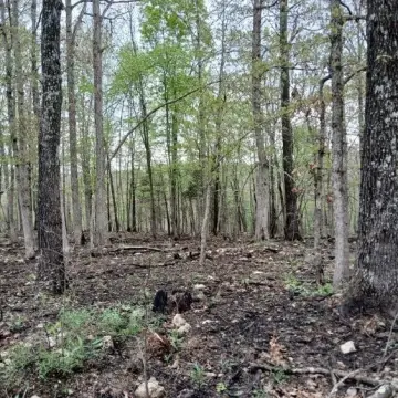 Land with Existing Utilities