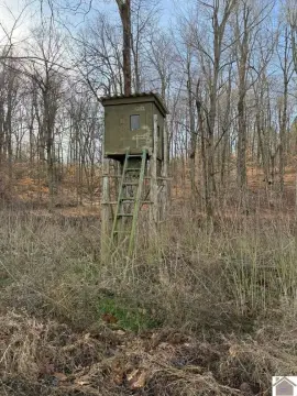Kentucky Hunting Land For Sale