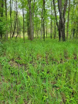 Wooded Land in Clarion Commute