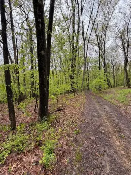 Land in West Hickory, PA