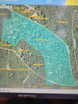 Land Near Cook Forest