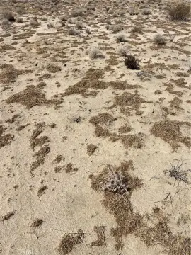 Adelanto Land Parcel For Sale