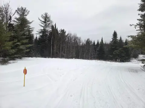 5.06 Acre Stark Land Parcel