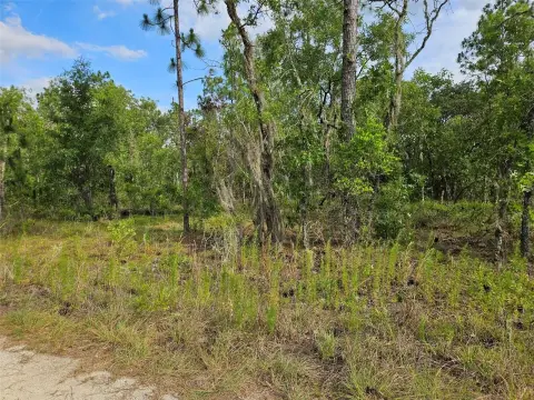 Residential Building Lot
