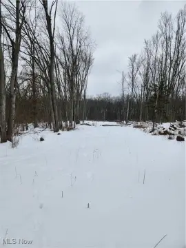 Residential Land in Columbia Station