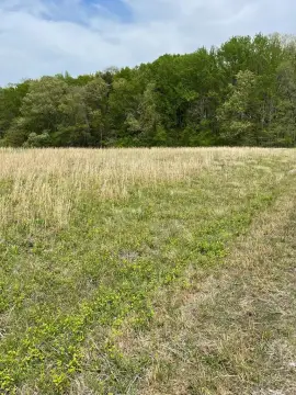 Land with New Septic System
