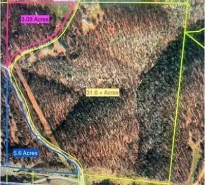 40 Acres Wooded Land