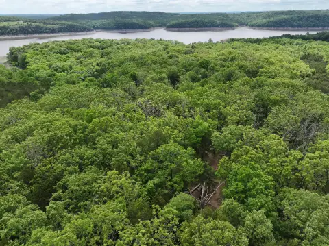 Wooded Land Near Bull Shoals
