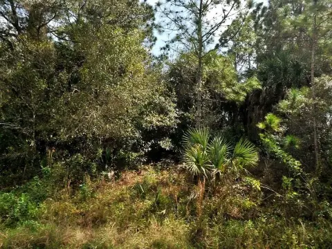 Residential Land in North Port